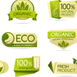 greenwashing brands
