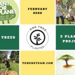 Tenere tree planting donation