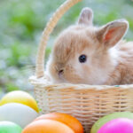 sustainable easter shopping