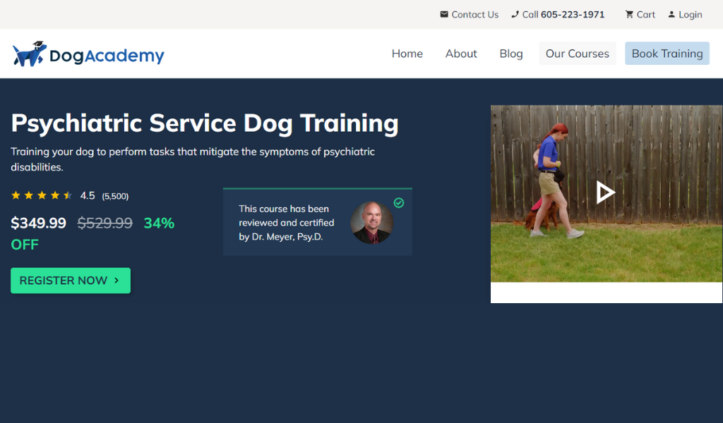 Online Service Dog Training Programs: Dog Academy