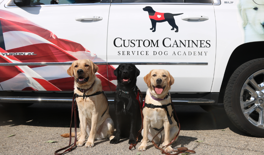 Online Service Dog Training Programs: Service Dog Academy