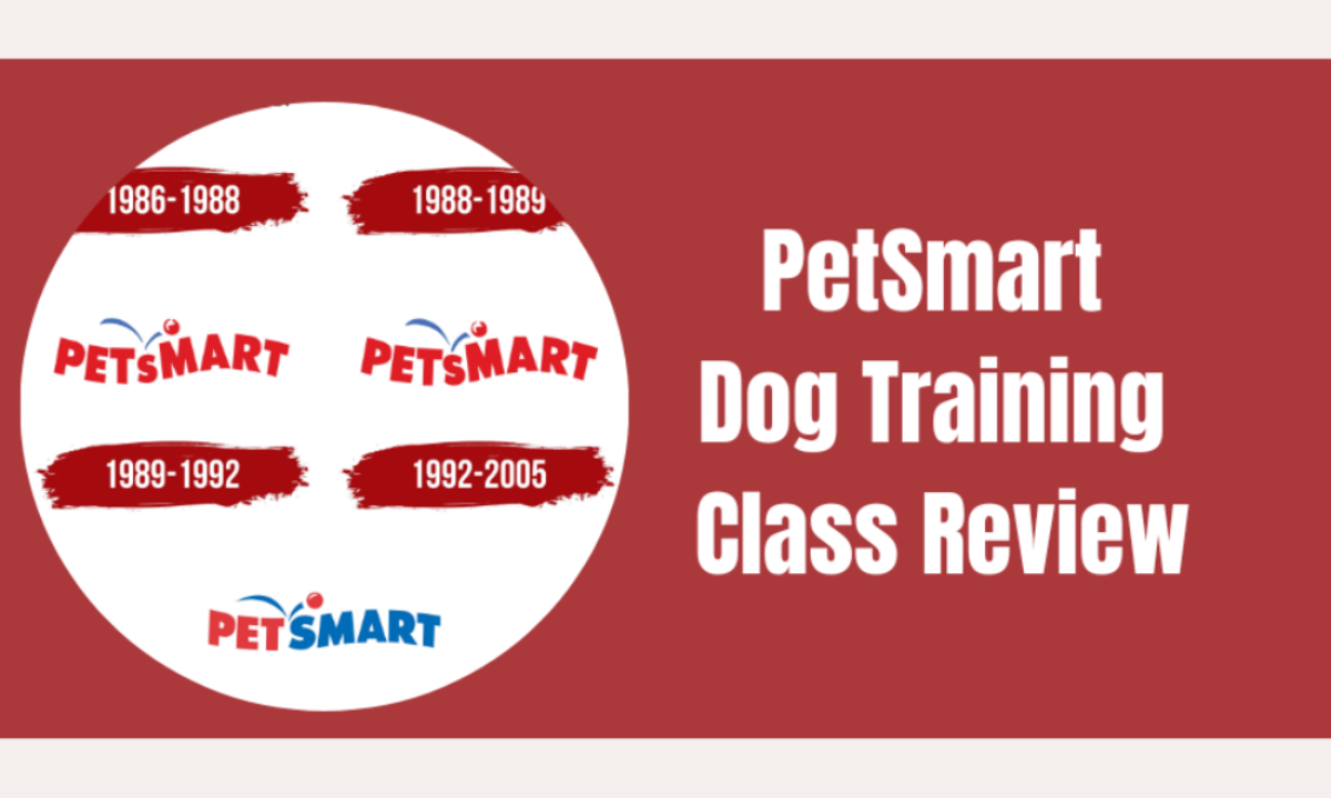 Petsmart training classes sales price