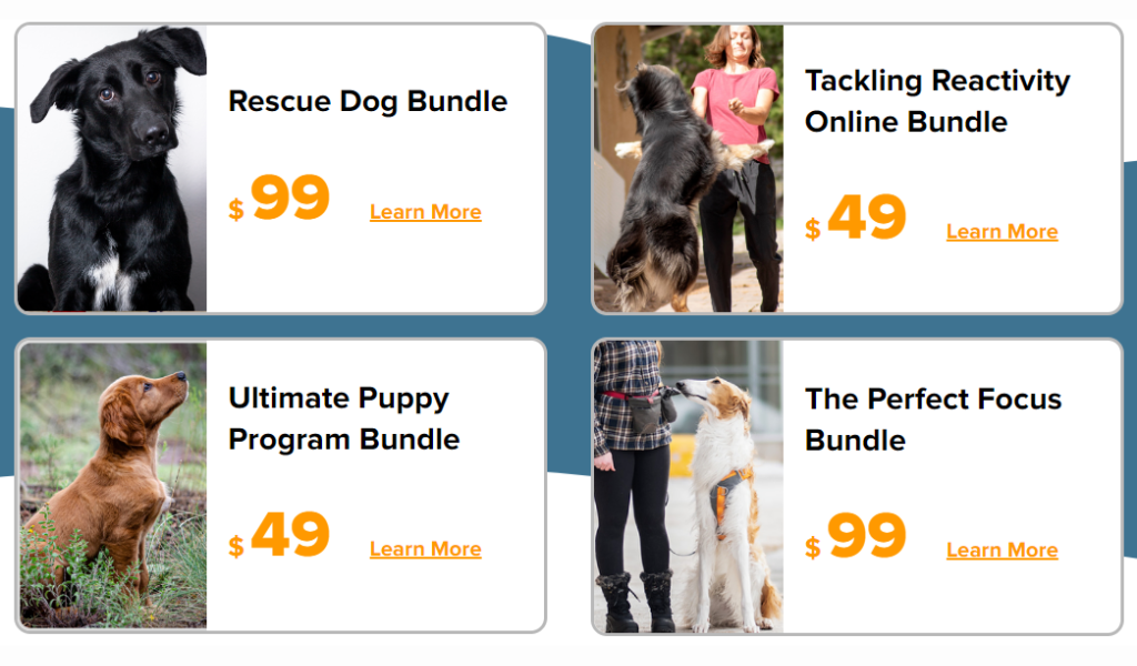 PetSmart alternatives: SpiritDog Training