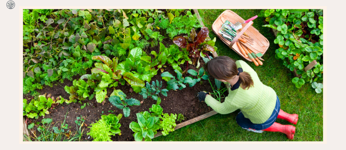 8 Best Vegetables For Raised Garden Beds