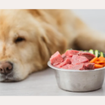 Best Raw Food For Dogs