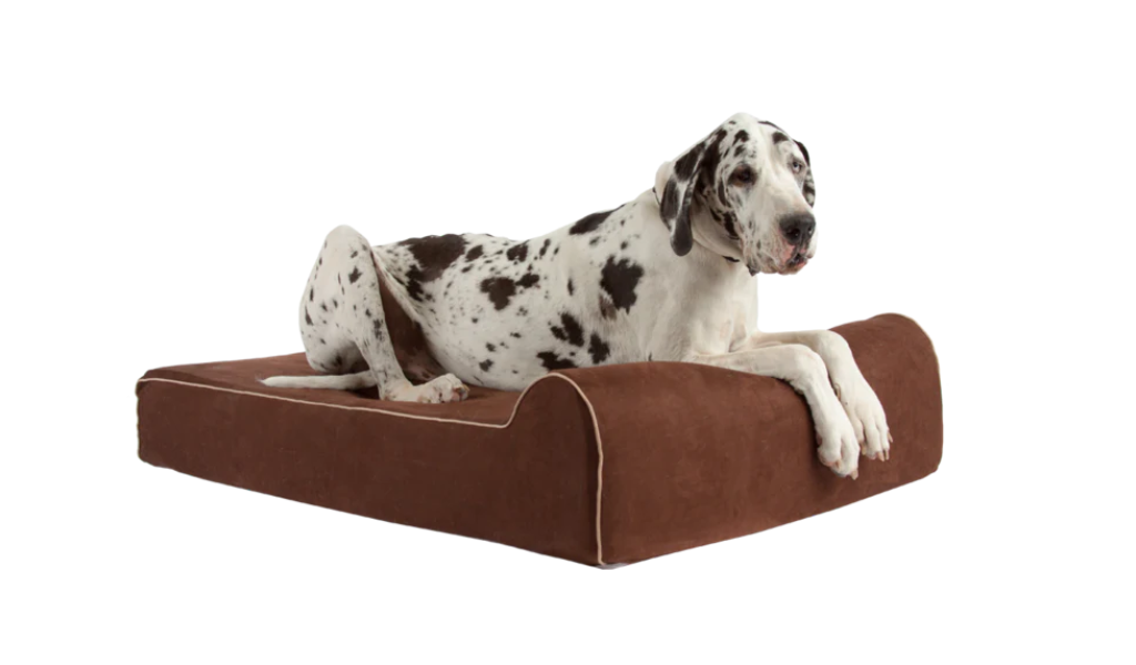 Bully beds clearance reviews