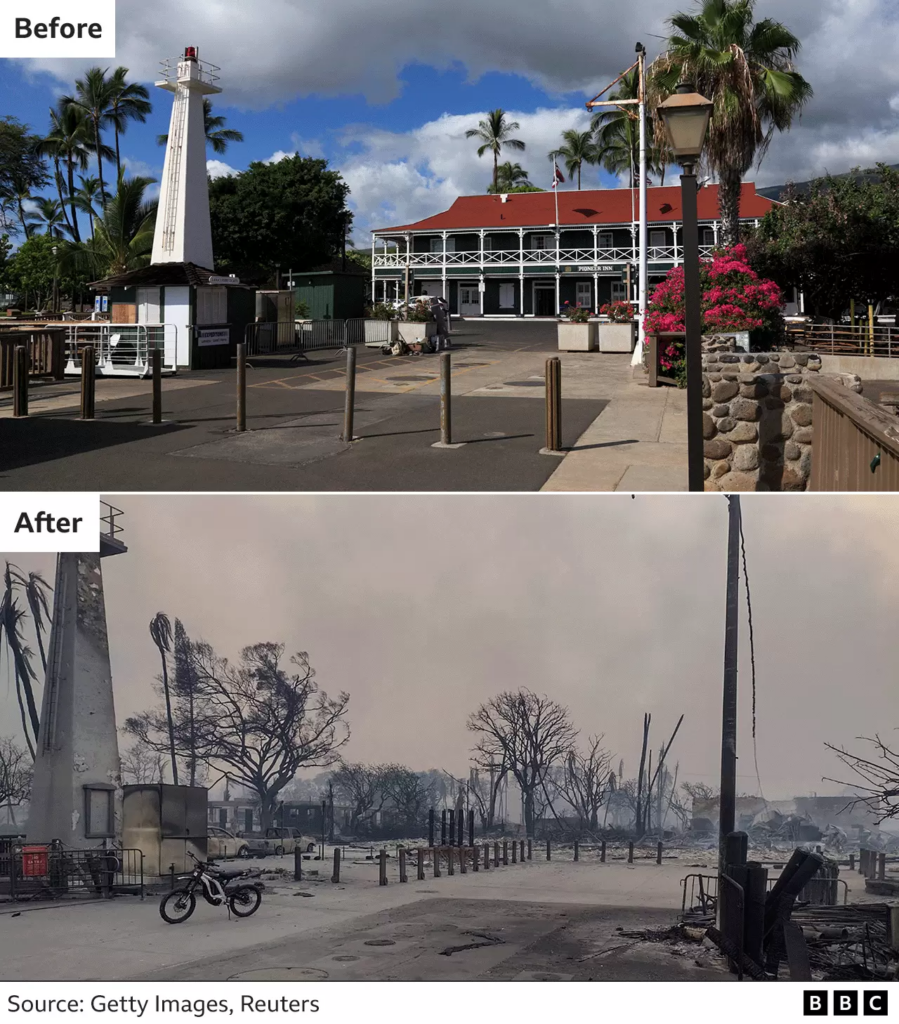 hawaii fire before and after