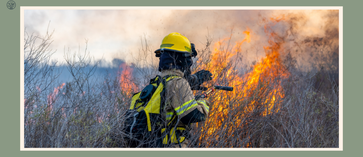 wildfire-smoke-health-effects