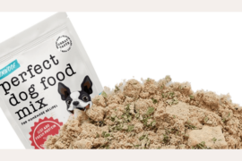 Yumwoof Review: Is Their Natural Dog Food Good?
