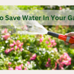 How To Save Water In Your Garden?