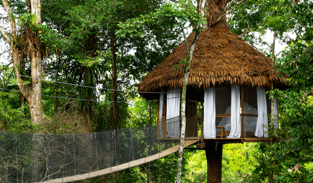 Enjoy Ecotourism In The Amazon In Lodges