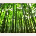 world-bamboo-day-2023