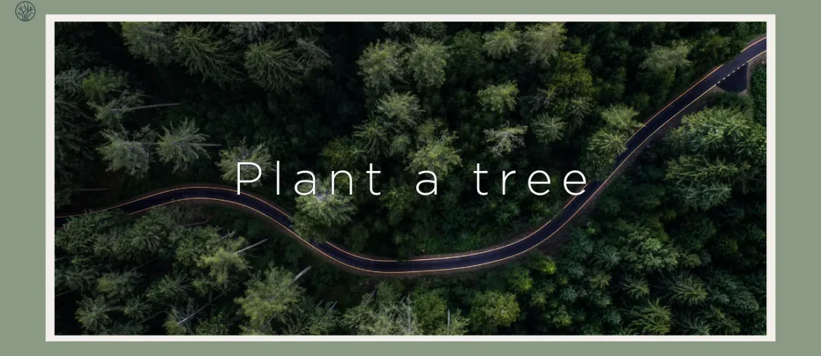 12 companies that plant trees
