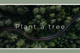 12 companies that plant trees