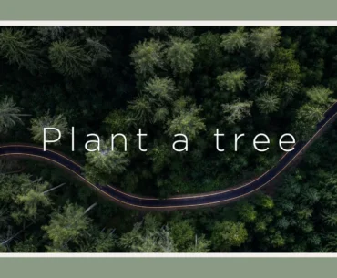 12 companies that plant trees