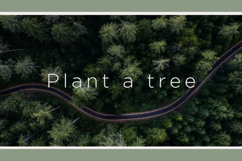 12 Companies That Plant Trees For Every Product You Buy