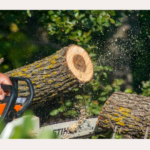 Tree Removal for Free
