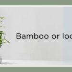 plants that look like bamboo