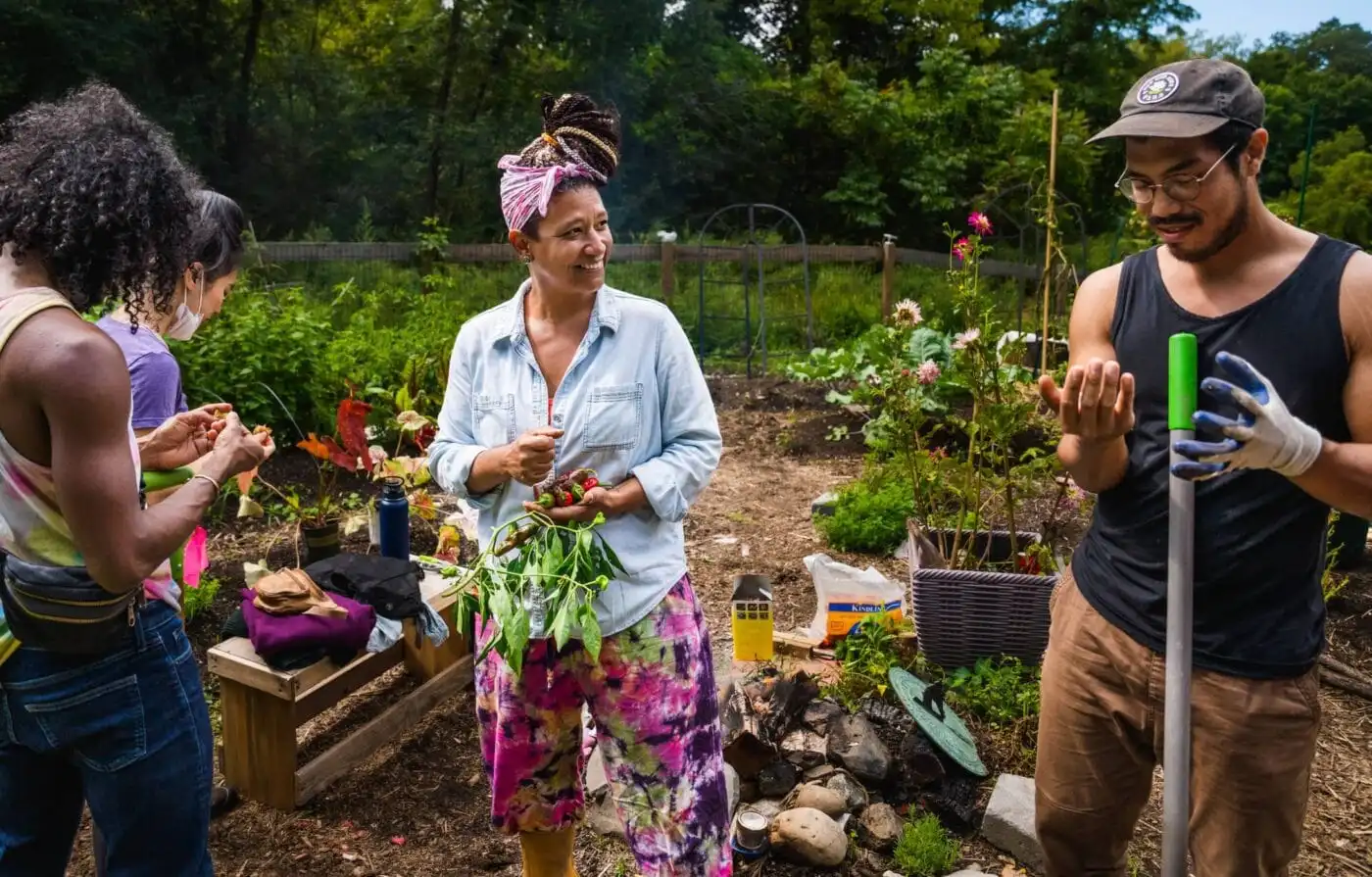 community garden 