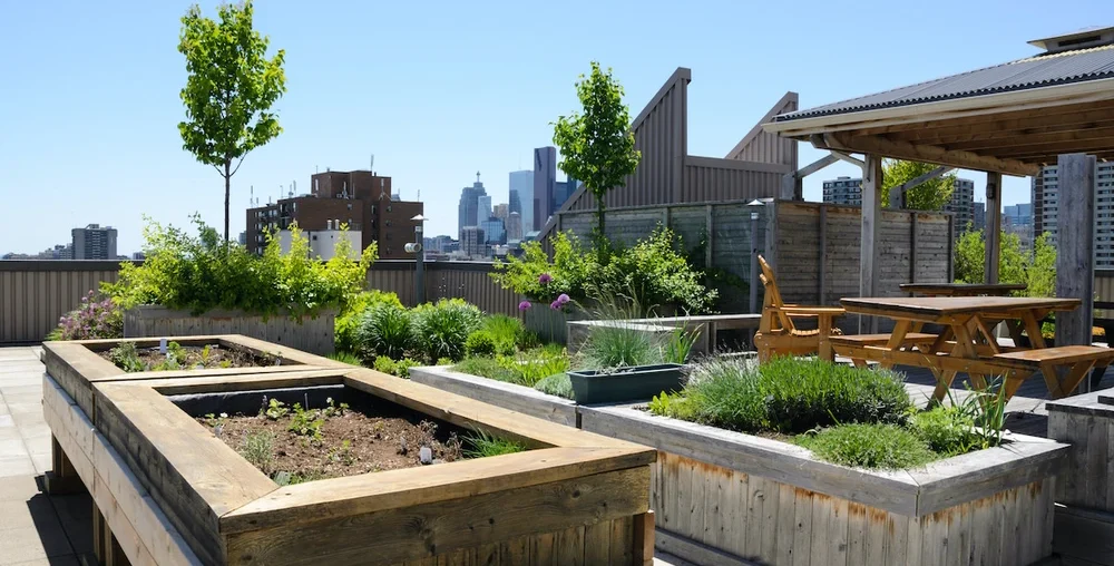 rooftop garden