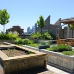 rooftop garden