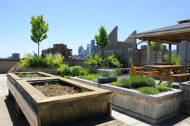 rooftop garden