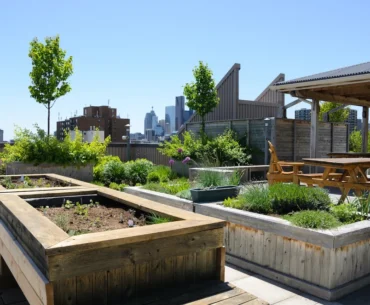 rooftop garden