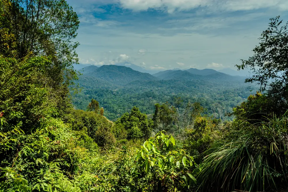 Taman Negara park 