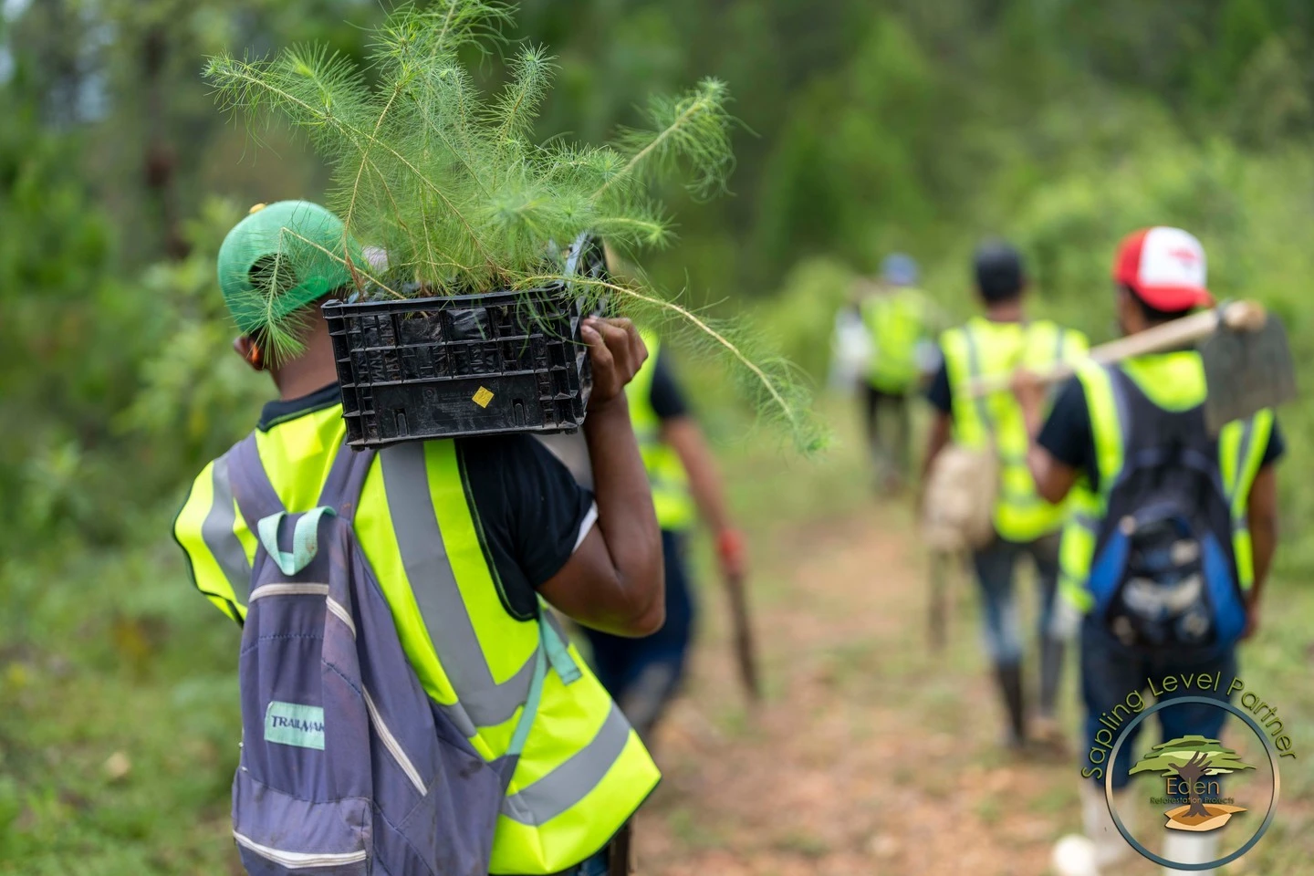 Eden reforestation projects 