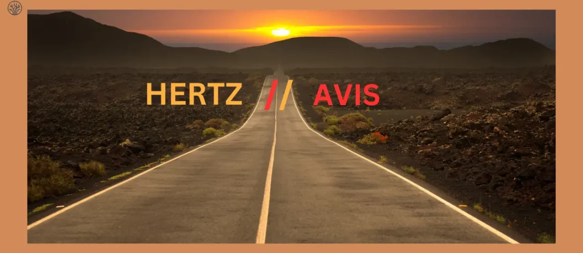 avis vs hertz