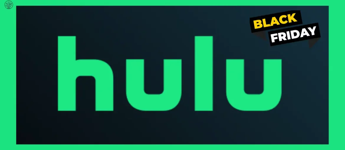 hulu disney black friday deal