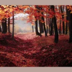 tree with red leaves